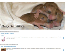 Tablet Screenshot of littlebabyhamsters.blogspot.com