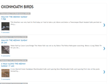 Tablet Screenshot of oxonhoathbirds.blogspot.com
