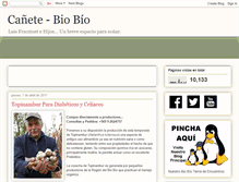 Tablet Screenshot of canetebiobio.blogspot.com