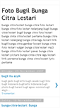 Mobile Screenshot of bunga-citra-lestari-bugil.blogspot.com