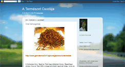 Desktop Screenshot of cordyceps15.blogspot.com