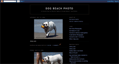 Desktop Screenshot of dogbeachphoto.blogspot.com