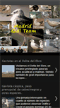Mobile Screenshot of madrid-gull-team.blogspot.com
