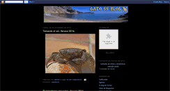 Desktop Screenshot of gato55.blogspot.com