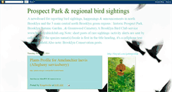 Desktop Screenshot of peters-prospect-bird-sightings.blogspot.com