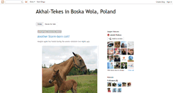 Desktop Screenshot of akhal-tekes.blogspot.com