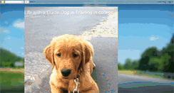 Desktop Screenshot of fresnoguidedog.blogspot.com