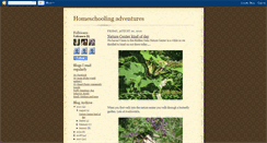 Desktop Screenshot of homeschool3kids.blogspot.com