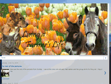 Tablet Screenshot of myfarmerlife.blogspot.com