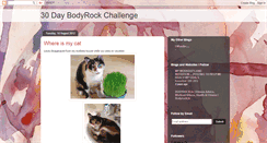 Desktop Screenshot of bodyrock30.blogspot.com