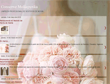 Tablet Screenshot of conservemoliapynka.blogspot.com