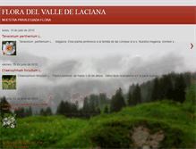 Tablet Screenshot of floralaciana.blogspot.com