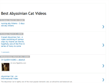 Tablet Screenshot of best-abyssinian-cat-videos.blogspot.com
