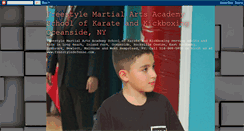 Desktop Screenshot of freestylemartialartskaratekickboxing.blogspot.com