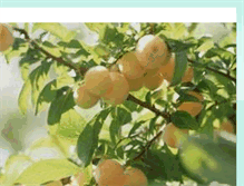 Tablet Screenshot of fruittreeslover.blogspot.com