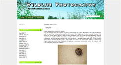 Desktop Screenshot of naturfoto-erras.blogspot.com