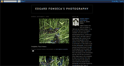 Desktop Screenshot of edgardfonsecasphotography.blogspot.com