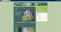 Desktop Screenshot of mygreenbeanplant.blogspot.com