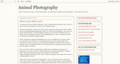 Desktop Screenshot of animalphotographer.blogspot.com