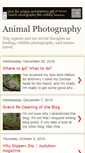 Mobile Screenshot of animalphotographer.blogspot.com