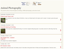 Tablet Screenshot of animalphotographer.blogspot.com