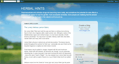 Desktop Screenshot of herbalhints.blogspot.com
