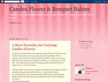 Tablet Screenshot of candeoflower.blogspot.com