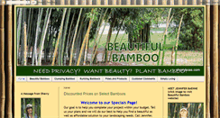 Desktop Screenshot of beautifulbamboo.blogspot.com