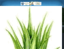 Tablet Screenshot of naturalhealthpractitionersnigeria.blogspot.com