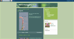Desktop Screenshot of idomacrophotography.blogspot.com