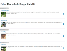 Tablet Screenshot of ezharpharaohs-bengalcats.blogspot.com