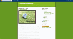 Desktop Screenshot of cherubmaltese.blogspot.com