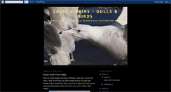 Desktop Screenshot of chrisgibbins-gullsbirds.blogspot.com
