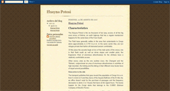 Desktop Screenshot of huaynapotosi.blogspot.com