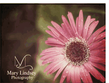 Tablet Screenshot of marylindseyphotoraphy.blogspot.com