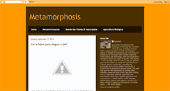 Desktop Screenshot of in-metamorphosis.blogspot.com