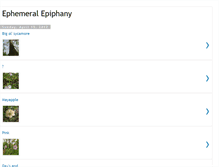 Tablet Screenshot of ephemeral-epiphany.blogspot.com
