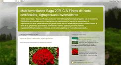 Desktop Screenshot of multiinversionessaga.blogspot.com