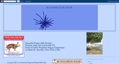 Desktop Screenshot of blueseaurchin.blogspot.com