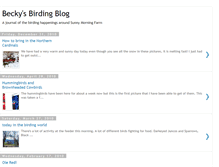 Tablet Screenshot of beckysbirdingblog.blogspot.com