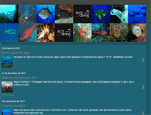 Tablet Screenshot of acordiving.blogspot.com