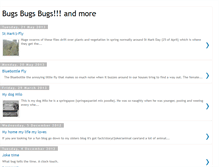 Tablet Screenshot of bugsbugsbugs-bughunter.blogspot.com