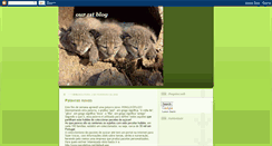 Desktop Screenshot of environmentandmusic.blogspot.com