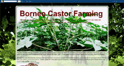 Desktop Screenshot of borneocastor.blogspot.com