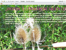 Tablet Screenshot of pescarenleon.blogspot.com
