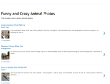 Tablet Screenshot of funnycrazyanimals.blogspot.com