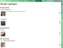 Tablet Screenshot of burglergyongyei.blogspot.com