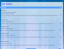 Tablet Screenshot of citerterkini.blogspot.com