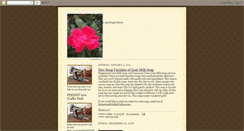 Desktop Screenshot of homesteaderbelle.blogspot.com