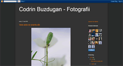 Desktop Screenshot of fotocodrin.blogspot.com